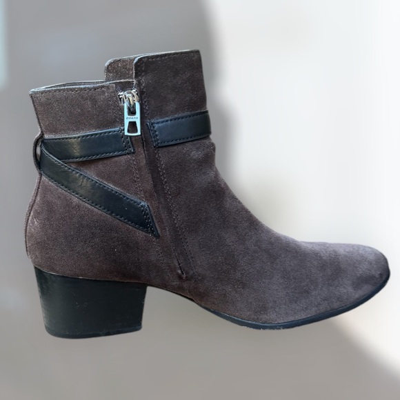 Coach - Picture 3 of 7